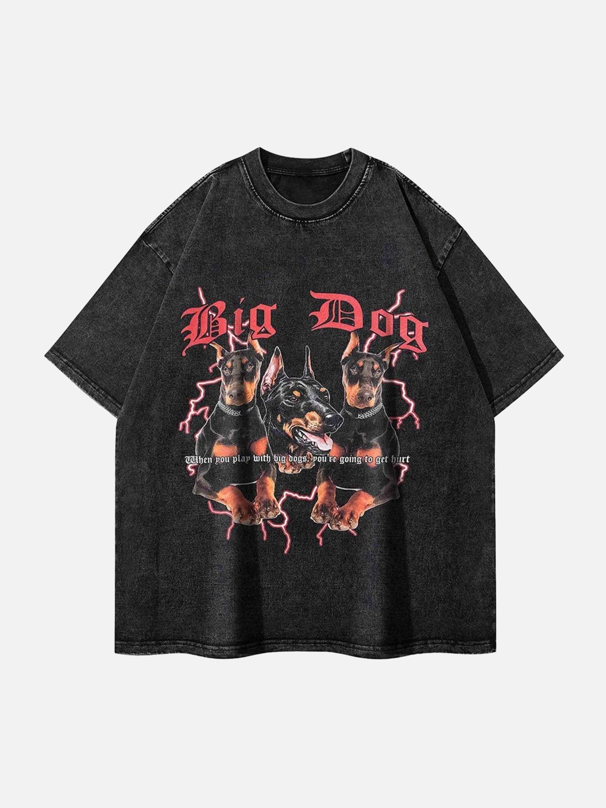 Concert Outfit Doberman Pinscher Print Washed Out T-Shirt