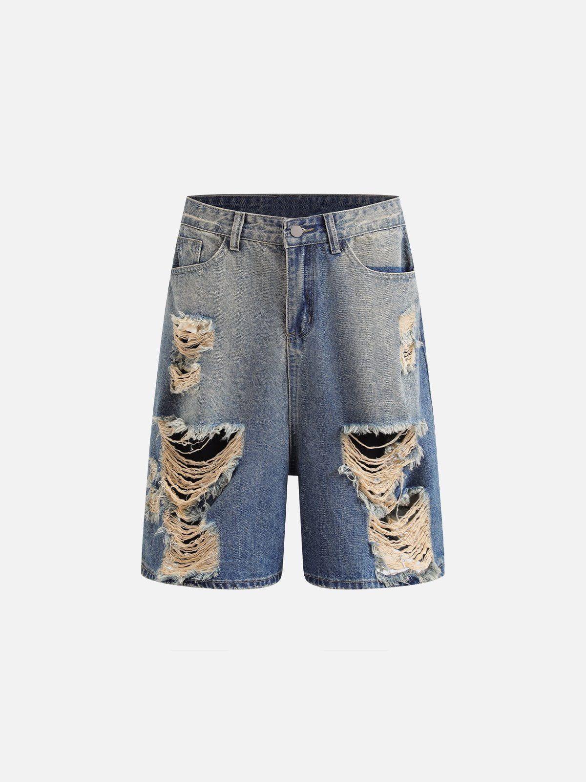 Concert Outfit Multi Distressed Jorts