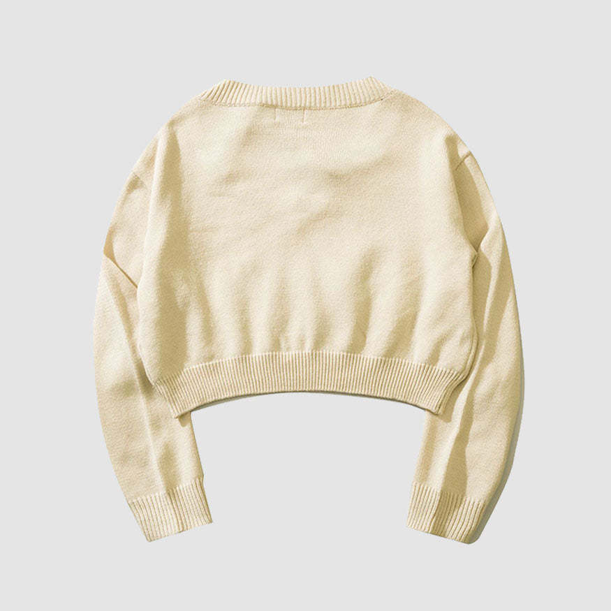 Style Core Aesthetics, New Style Trends Tassel Letter Embroidery Halter Neck Cropped Sweater