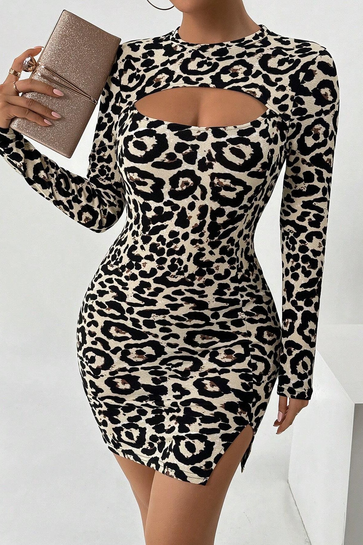 Summer Po, Leopard Print Cutout Long Sleeve Mini Dress - Leopard Costume