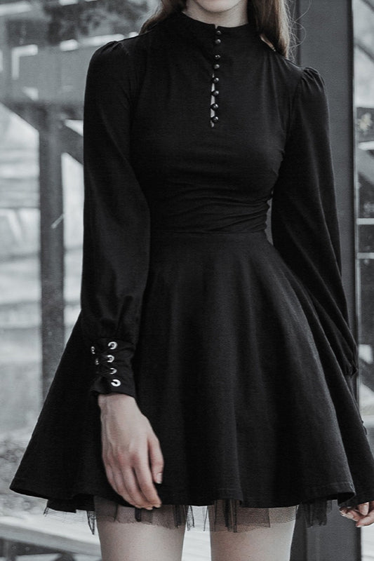 Winter to Summer Outfit Po, Pleated A- Line Gothic Dress - Winter Outfit